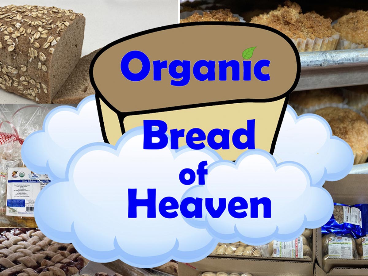 ALLERGY FRIENDLY BAKERY – ORGANIC BREAD OF HEAVEN